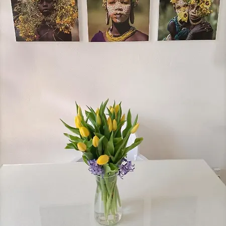 Lejlighed De Charme Tivoli Arcachon